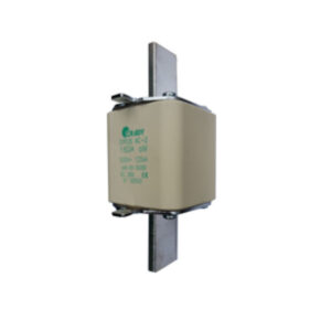 FUSIBLE DYFUS AC-2 DE 315 AM